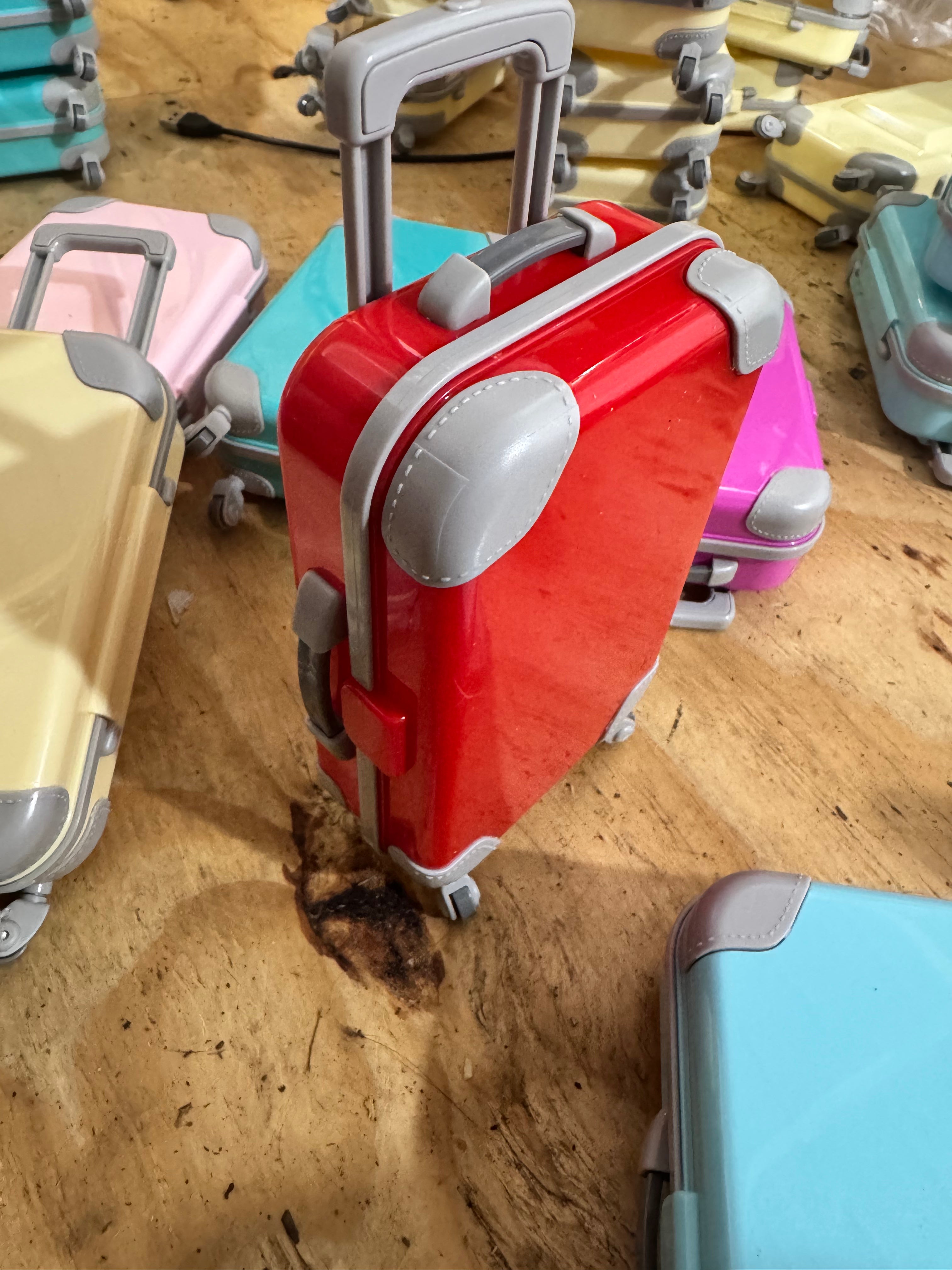 Lightweight 19-Inch Mini Suitcase